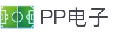 PP电子(中国大陆)官方网站